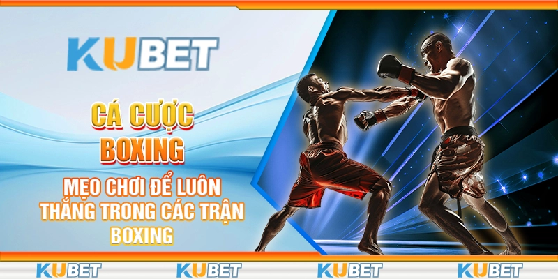Cá cược boxing