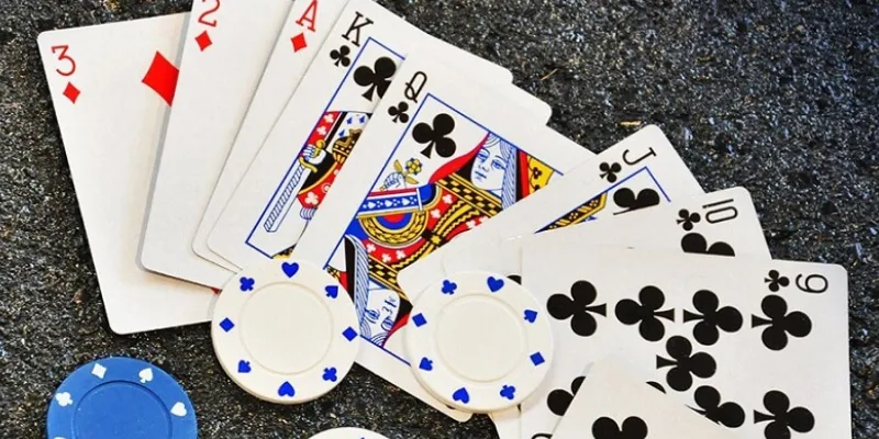 Tìm hiểu tổng quan về bài Sâm