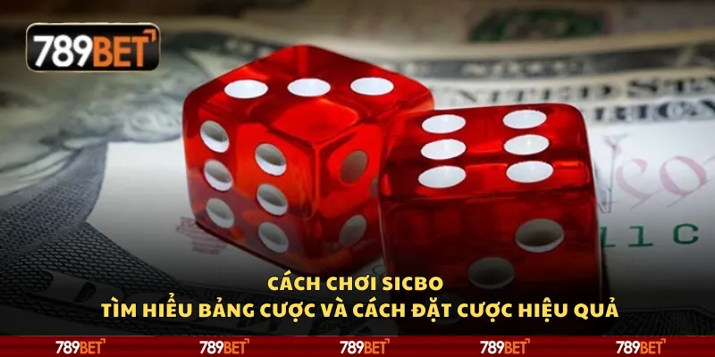 Cách chơi Sicbo – Tìm hiểu bảng cược và cách đặt cược hiệu quả