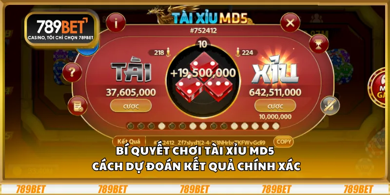 Bí quyết chơi tài xỉu MD5 – Cách dự đoán kết quả chính xác