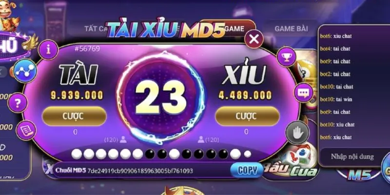 MD5 gồm những lựa chọn cược thông dụng nào?