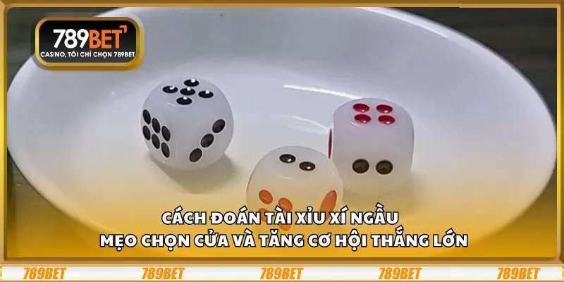 Cách đoán tài xỉu xí ngầu – Mẹo chọn cửa và tăng cơ hội thắng lớn