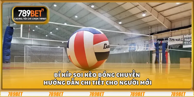 Bí kíp soi kèo bóng chuyền – Hướng dẫn chi tiết cho người mới